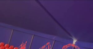 Тигрица сбежала с арены «Цирка Династии Довгалюк» в Ростове. Публикуем кадры поимки полосатой артист