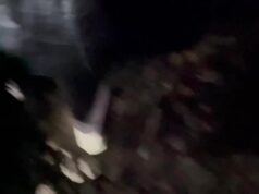 На Сокольнической линии остановлено движение между станциями «Парк Культуры» и «Бульвар Рокоссовског