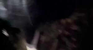 На Сокольнической линии остановлено движение между станциями «Парк Культуры» и «Бульвар Рокоссовског