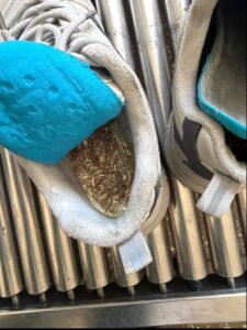 Пассажир пытался незаконно привезти в обуви золото на 2,5 млн рублей в Благовещенске.