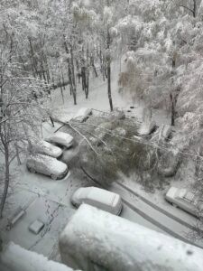 Первый последний снегопад в Москве валит деревья, останавливает поезда, машины, самолеты. В столице