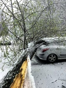 Первый последний снегопад в Москве валит деревья, останавливает поезда, машины, самолеты. В столице