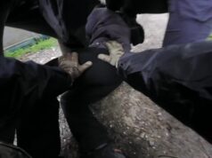 Мужчину, планировавшего теракты в Крыму, задержали сотрудники ФСБ.