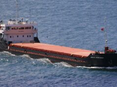 Сальдо: Капитан сухогруза, потерпевшего крушение в Азовском море, в больнице Сухогруз - РИА Новости, 1920, 05.04.2026