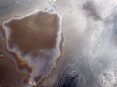 Разлив нефти - РИА Новости, 1920, 24.04.2026