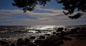 Побережье Финского залива - РИА Новости, 1920, 15.04.2026