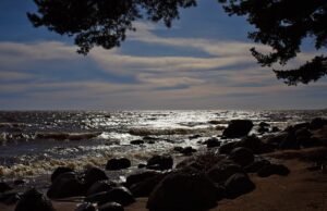 Побережье Финского залива - РИА Новости, 1920, 15.04.2026