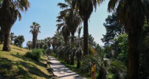 Парк в Сочи - РИА Новости, 1920, 15.04.2026