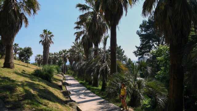 Парк в Сочи - РИА Новости, 1920, 15.04.2026