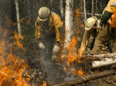 Тушение лесных пожаров - РИА Новости, 1920, 30.04.2026