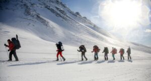 Туристы - РИА Новости, 1920, 10.04.2026