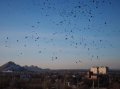 Вид на Петровский район Донецка - РИА Новости, 1920, 06.04.2026