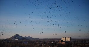 Вид на Петровский район Донецка - РИА Новости, 1920, 06.04.2026