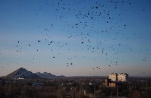 Вид на Петровский район Донецка - РИА Новости, 1920, 06.04.2026