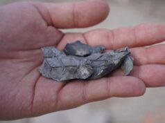 Осколки снаряда ВСУ после обстрела - РИА Новости, 1920, 05.04.2026