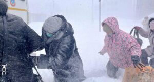 Сотрудники МЧС России помогают жителям Сахалина справиться с последствиями циклона - РИА Новости, 1920, 06.04.2026