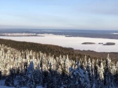 В Свердловской области оштрафовали школу за стрельбу ученика по однокласснице Свердловская область - РИА Новости, 1920, 10.04.2026