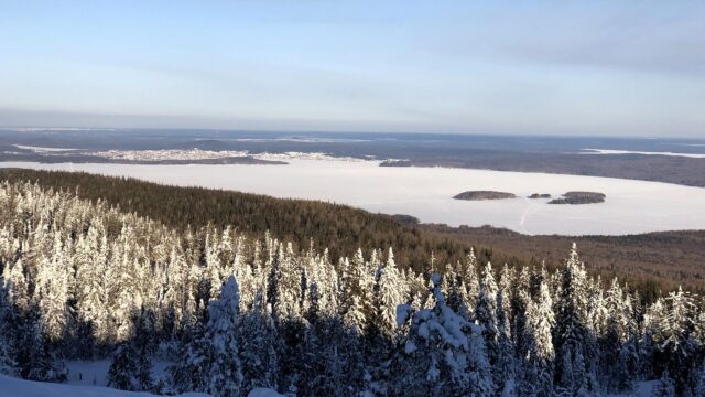 Свердловская область - РИА Новости, 1920, 10.04.2026