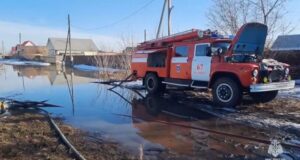 Паводок в Алтайском крае - РИА Новости, 1920, 13.04.2026