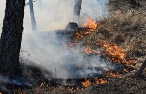 В Бурятии жители села предотвратили пожара на заправке после загорания травы Пал сухой травы - РИА Новости, 1920, 10.04.2026
