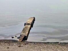 В районе деревни Логи Ленинградской области обнаружено скопление нефтепродуктов Разлив нефтепродуктов - РИА Новости, 1920, 06.04.2026