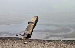 В районе деревни Логи Ленинградской области обнаружено скопление нефтепродуктов Разлив нефтепродуктов - РИА Новости, 1920, 06.04.2026