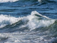 Море - РИА Новости, 1920, 05.04.2026