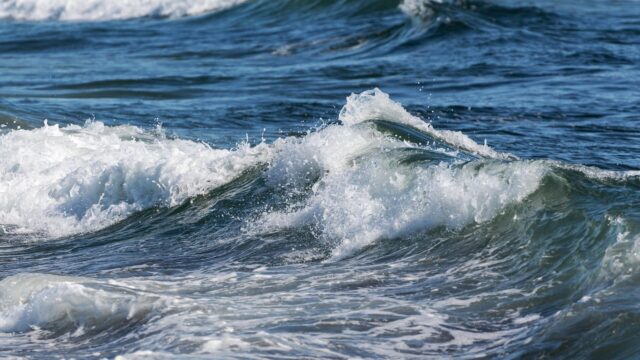 Море - РИА Новости, 1920, 05.04.2026