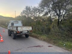 Грузовик, из которого вывалились две девочки в Приморье - РИА Новости, 1920, 29.04.2026