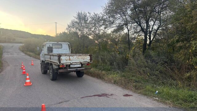 Грузовик, из которого вывалились две девочки в Приморье - РИА Новости, 1920, 29.04.2026