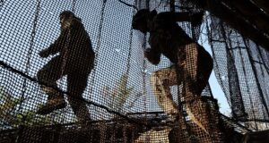 Украинские военные - РИА Новости, 1920, 07.04.2026