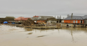 Последствия подтопления в Дагестане - РИА Новости, 1920, 07.04.2026