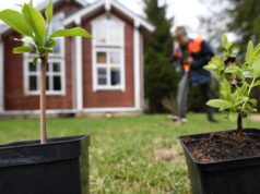 За нарушение правил сжигания мусора дачников ждет штраф Дачный участок - РИА Новости, 1920, 16.04.2026