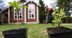 Дачный участок - РИА Новости, 1920, 16.04.2026