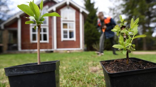 Дачный участок - РИА Новости, 1920, 16.04.2026