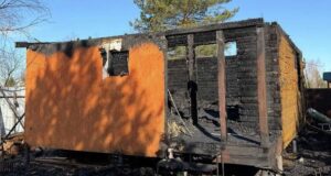 Последствия пожара в СНТ Семья в Воскресенске - РИА Новости, 1920, 04.04.2026