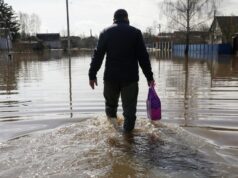 Затопленная в результате разлива реки Тёша улица в поселке Шатки в Нижегородской области, апрель 2026 - РИА Новости, 1920, 14.04.2026