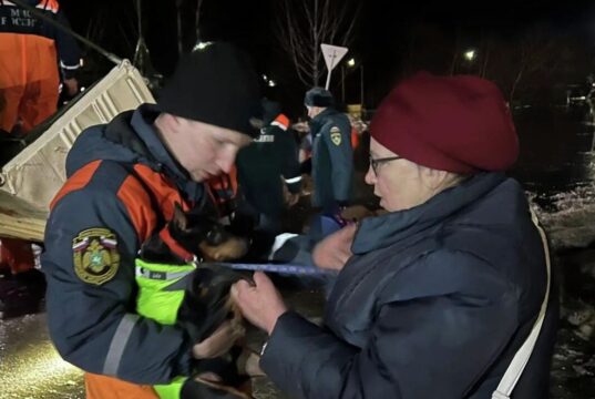 Паводок в Томской области - РИА Новости, 1920, 12.04.2026