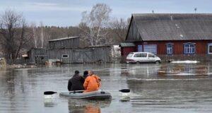 Паводок в Алтайском крае. 13.04.2026 - РИА Новости, 1920, 14.04.2026