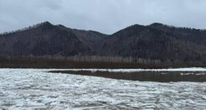 Паводок в городе Абаза в Хакасии - РИА Новости, 1920, 13.04.2026