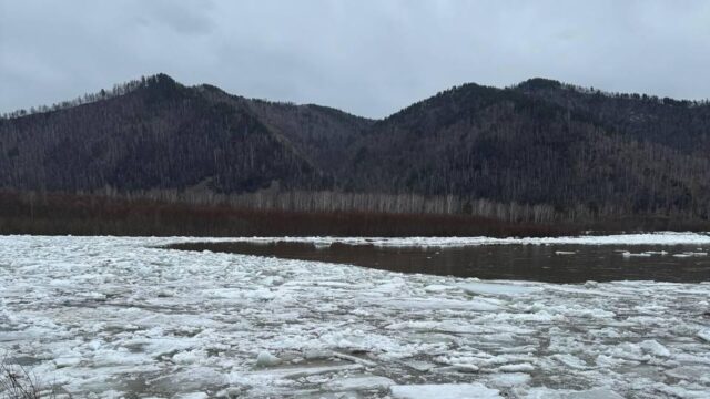 Паводок в городе Абаза в Хакасии - РИА Новости, 1920, 13.04.2026