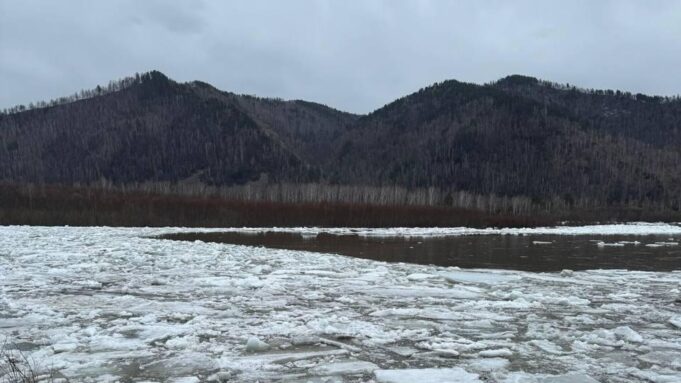 Паводок в городе Абаза в Хакасии - РИА Новости, 1920, 13.04.2026