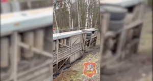 Автобус, опрокинувшийся в Московской области - РИА Новости, 1920, 14.04.2026