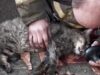 В Тюмени пожарный спас трех кошек при тушении возгорания в квартире Пожарный спас кошку в Тюмени - РИА Новости, 1920, 16.04.2026