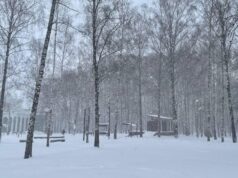 Снегопад в Нижнем Новгороде - РИА Новости, 1920, 22.04.2026