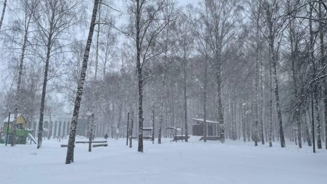 Снегопад в Нижнем Новгороде - РИА Новости, 1920, 22.04.2026