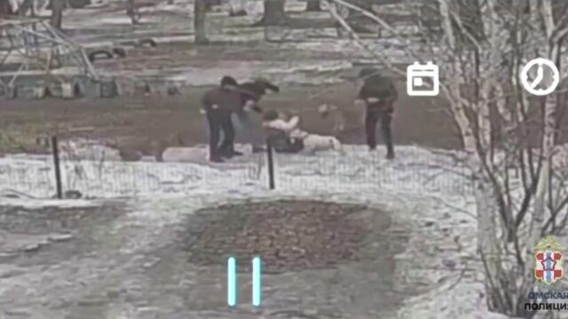 Житель Омска натравил бойцовскую собаку на женщину - РИА Новости, 1920, 24.04.2026