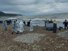 Нефтепродукты попали из реки Туапсе в акваторию моря и на береговую линию в Краснодарском крае - РИА Новости, 1920, 24.04.2026