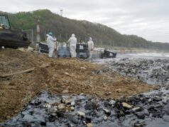 Очистка от нефтепродуктов побережья и реки в Туапсе - РИА Новости, 1920, 28.04.2026