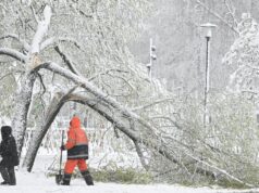 Снег в Москве - РИА Новости, 1920, 27.04.2026